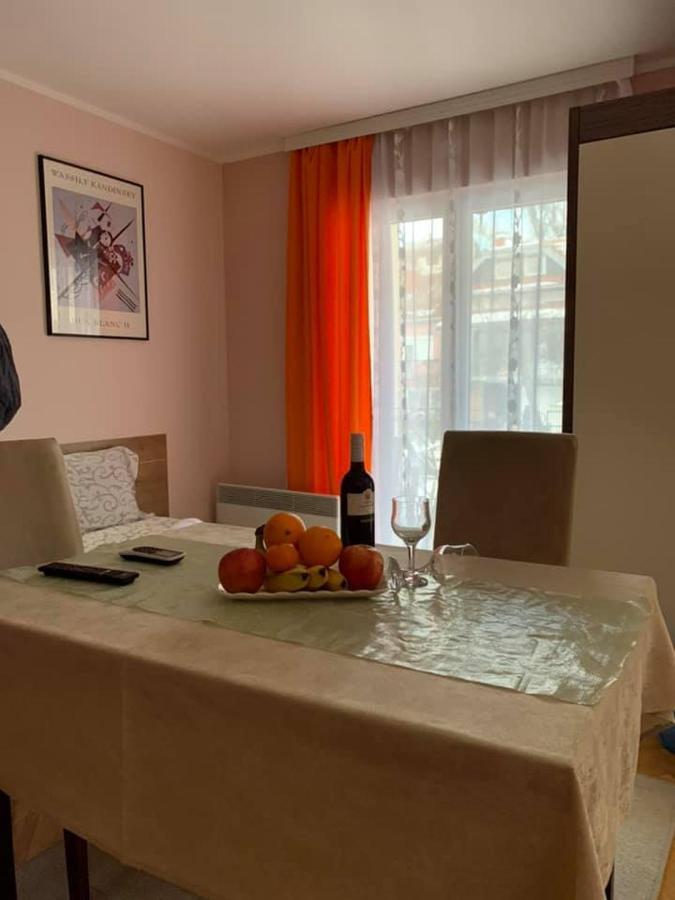 Apartmani Micic Vrnjačka Banja エクステリア 写真
